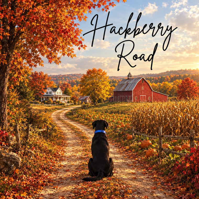 Hackberry Road: black dog with a blue collar on an autumn farm road with a red barn and farmhouse porch